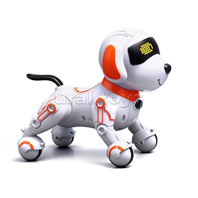 Собака "КиберЛап" в коробке