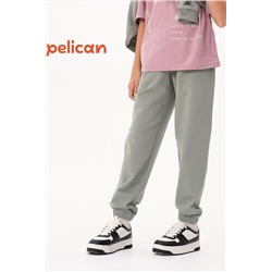 Брюки PELICAN, 1104301