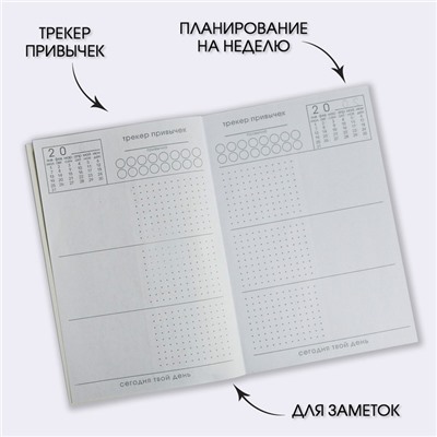 Планер-ежедневник А5, 80 л «Лавандовый»
