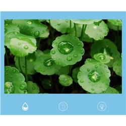 Маска под глаза с гиалуроновой кислотой и экстрактом центеллы азиатской VHA