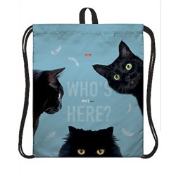 Сумка для сменной обуви 41х49 см "Кто здесь?" с петлей для подвеса, 1 отд. (093922) 19065 Хатбер