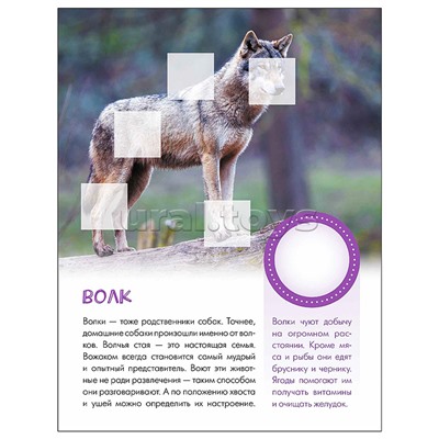 Мир животных с наклейками. Кто живёт в лесу?