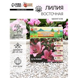 Лилия Восточная "Маунт Кук", р-р 12/14, 3 шт, Весна 2025