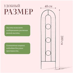 Шпалера «3 кольца», 200×48×1 см, металл, зелёная