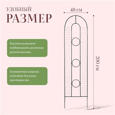 Шпалера «3 кольца», 200×48×1 см, металл, зелёная