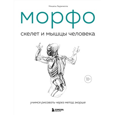 Эксмо Мишель Лауричелла "МОРФО. Скелет и мышцы человека. Анатомия для художников"