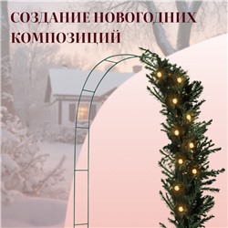Арка садовая, 240×125×20 см, для вьющихся растений, металлическая, зелёная