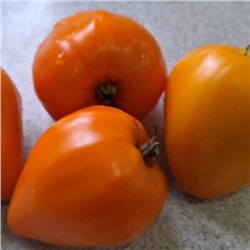 7178Т Томат Лискин нос 10шт