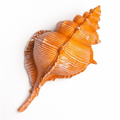 Фигурка полистоун «Ракушка», 23×11×10 см
