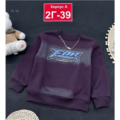 кофта с начесом 1841971-3