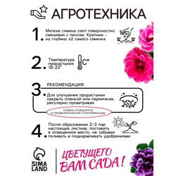 Семена комнатных цветов Глоксиния «Махровая смесь», F1, «Агроуспех», 5 шт.