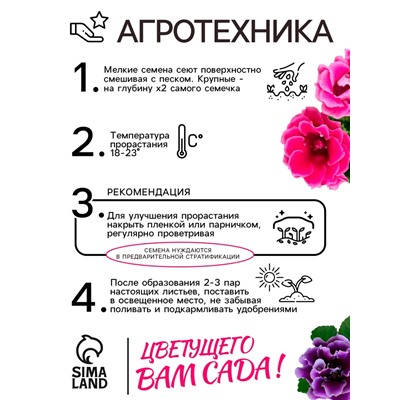 Семена комнатных цветов Глоксиния «Махровая смесь», F1, «Агроуспех», 5 шт.