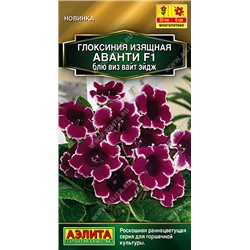 Глоксиния Аванти Блю виз вайт эндж F1 (Код: 93545)