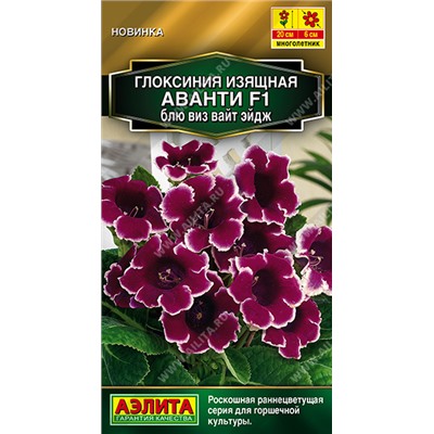 Глоксиния Аванти Блю виз вайт эндж F1 (Код: 93545)