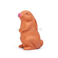 Набор питомец "Пушистый компаньон" в коробке