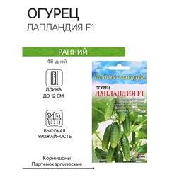 Семена Огурец «Лапландия F1», 6 шт., «Дом семян»