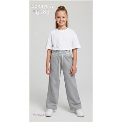 штаны 2052434-3