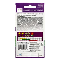 Семена цветов Георгина Фигаро Виолет Шейдес Агроуспех 7шт (400)