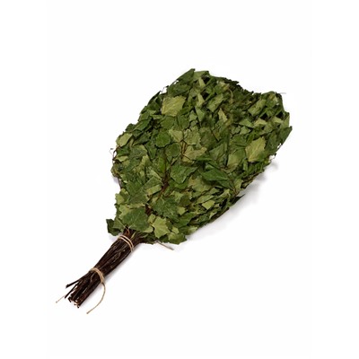 Веник для бани, берёзовый, в упаковке