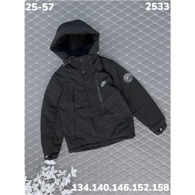 Куртка 2533 чёрный