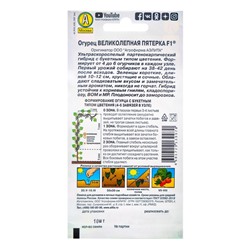 Семена огурца "Великолепная пятерка", F1, 10 шт.
