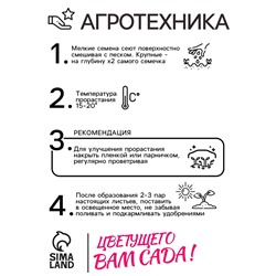 Семена Люпин "Канделябр", ц/п,  0,3 гр.