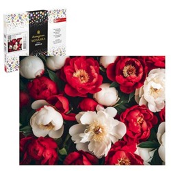 Алмазная мозаика по номерам 30х40 см (НА ПОДРАМНИКЕ) "КРАСНЫЕ И БЕЛЫЕ ПИОНЫ" 71408 Феникс