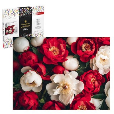 Алмазная мозаика по номерам 30х40 см (НА ПОДРАМНИКЕ) "КРАСНЫЕ И БЕЛЫЕ ПИОНЫ" 71408 Феникс