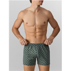 ТРУСЫ МУЖСКИЕ (2ШТ) 411152-2