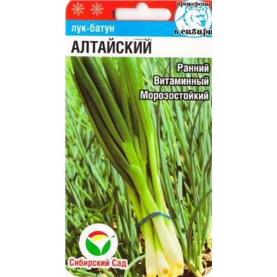 Лук Батун Алтайский (Код: 86701)