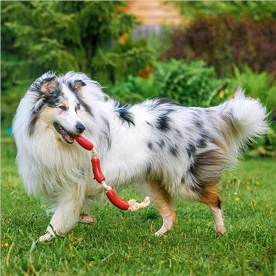 Игрушка для собак «3 сосиски», 50 см, на канате, винил, цвет МИКС