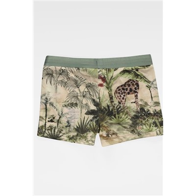 Плавки купальные купальные SP2605 НАТАЛИ, 1233070