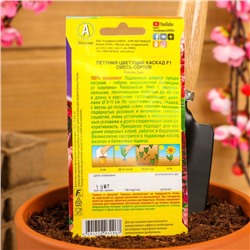 Семена   Петуния "Цветущий каскад" F1, смесь сортов , 5 шт