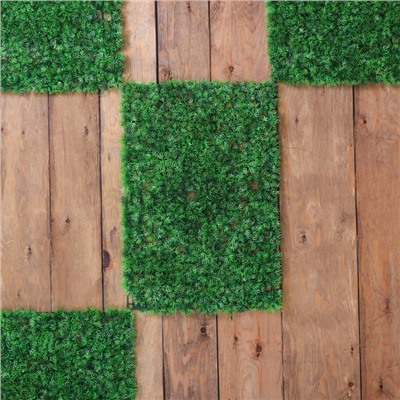 Декоративная панель, 60×40 см, «Аспарагус», Greengo