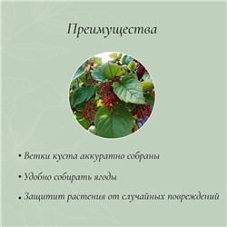 Кустодержатель, d=80 см, h=60 см, ножка d=1 см, металл, набор 2 шт., зелёный