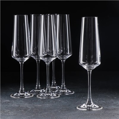 Набор бокалов для шампанского Corvus, 160 мл, 6 шт., стекло, прозрачный