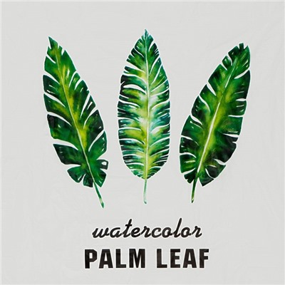 Штора для ванной Доляна «Тропики», 180×180 см, EVA