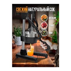 Соковыжималка #23009860
