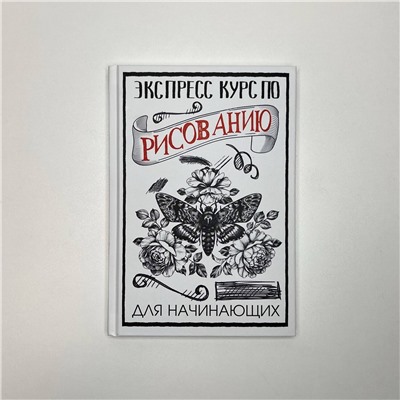 АСТ Мистер Грей "Экспресс-курс по рисованию для начинающих"