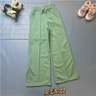 штаны 1981435-4