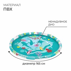 Бассейн надувной детский Underwater 165 см 52487 Bestway