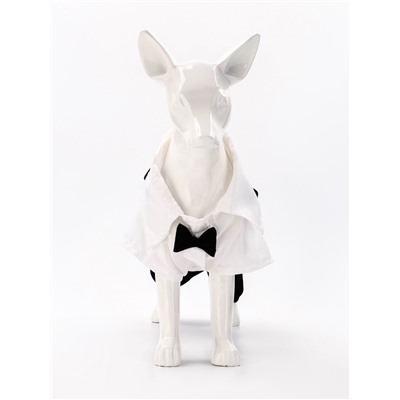 Костюм для животных «Джентельмен», размер S (ДС 25, ОГ 35 см)