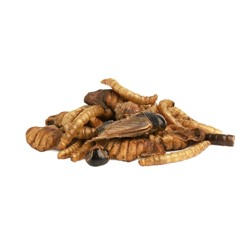 Лакомство Little One «Смесь насекомых» для всеядных грызунов, 75 г