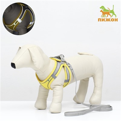 Комплект с мягкой шлейкой, быстросъемный, XS поводок 150×1.5 см, ОШ 29-32 ОГ 31-34 см, жёлтый