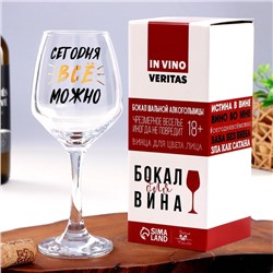 Бокал для вина с надписью «Можно всё», 350 мл