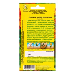 Семена цветов Георгина Фигаро махровая оранжевая , Ц/П,7 шт.