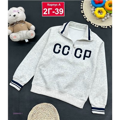 кофта 2056443-1