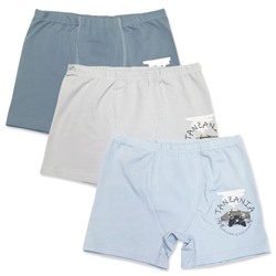 3664 Боксеры для мальчиков многоцвет (BAYKAR)