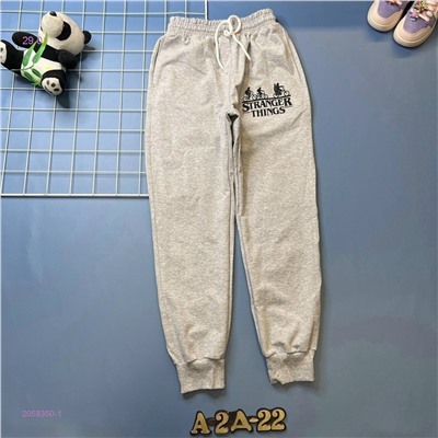 штаны 2058350-1