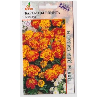 Бархатцы Бонита Болеро (Код: 1908)